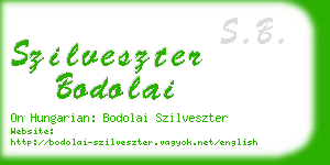 szilveszter bodolai business card